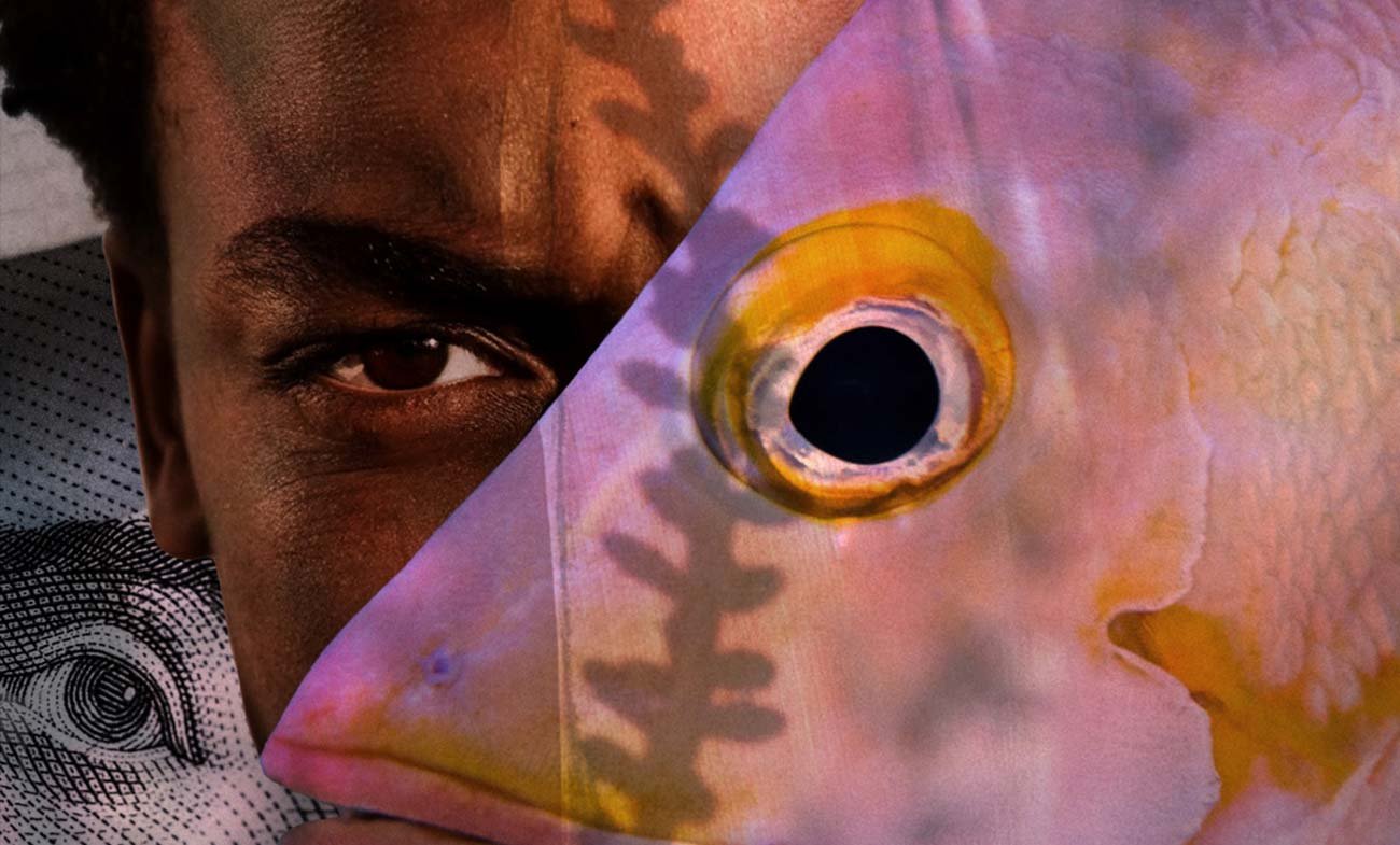Find Your True Passion